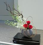 26 - Sarah Thoppil.jpg 4.5K